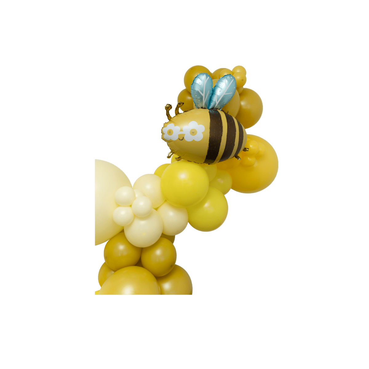 The Cute As Can Bee Balloon Garland Kit