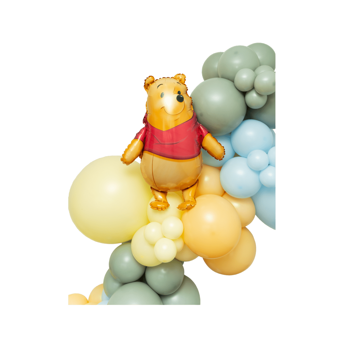 The Hundred Acre Wood Balloon Garland Kit