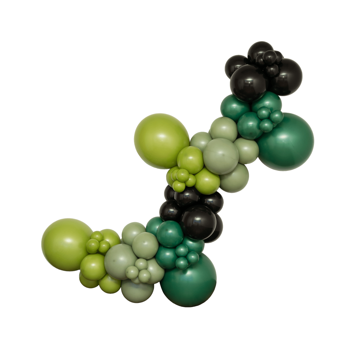 The Elphaba Balloon Garland Kit