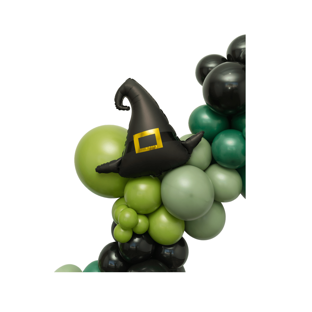 The Elphaba Balloon Garland Kit