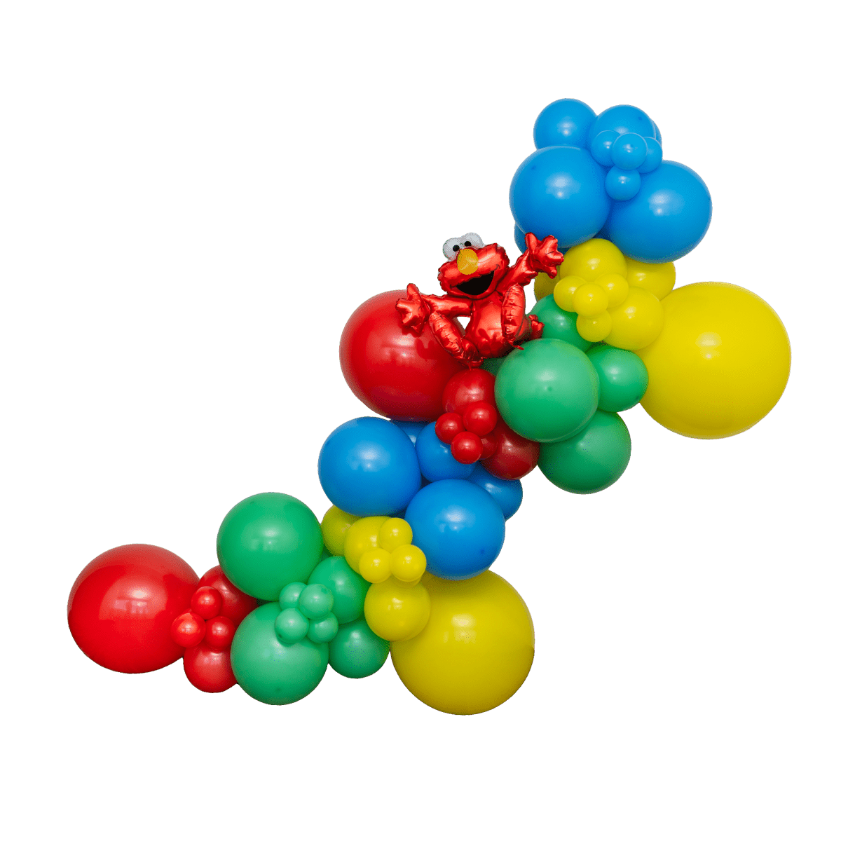 Sesame Balloon Garland Kit