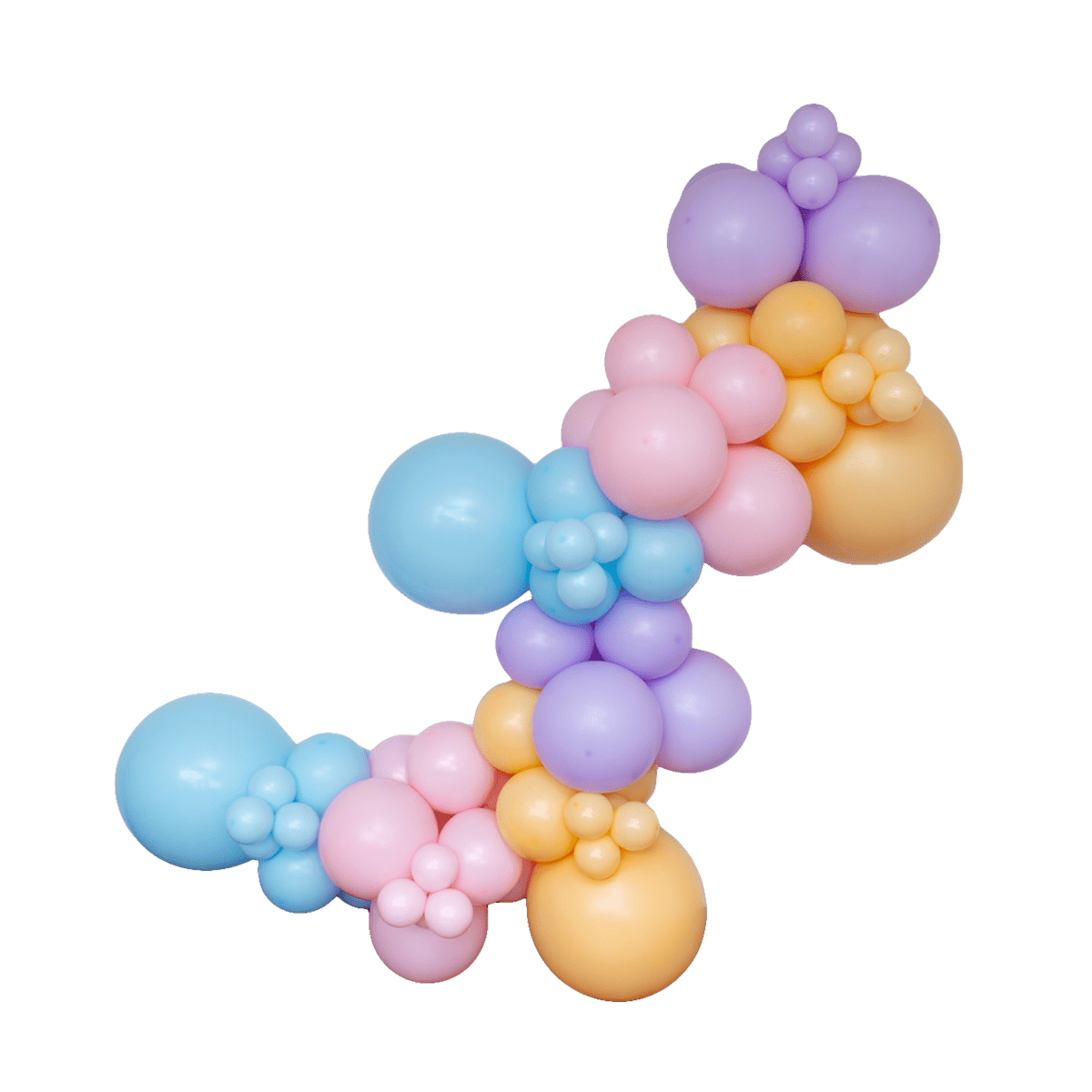 Bluey Balloon Garland Kit