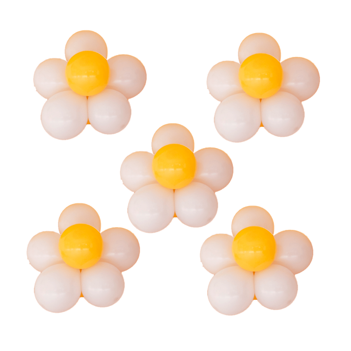 Balloon Daisies (Set of 5)