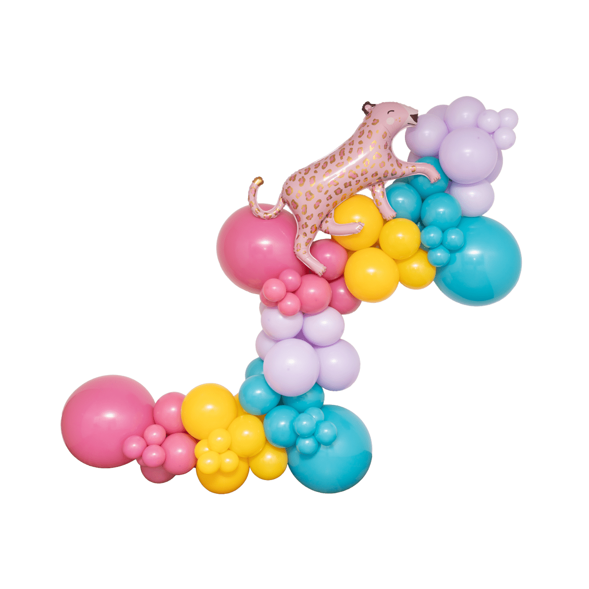 The Encanto Balloon Garland Kit