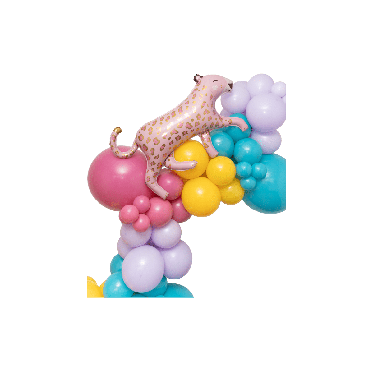 The Encanto Balloon Garland Kit