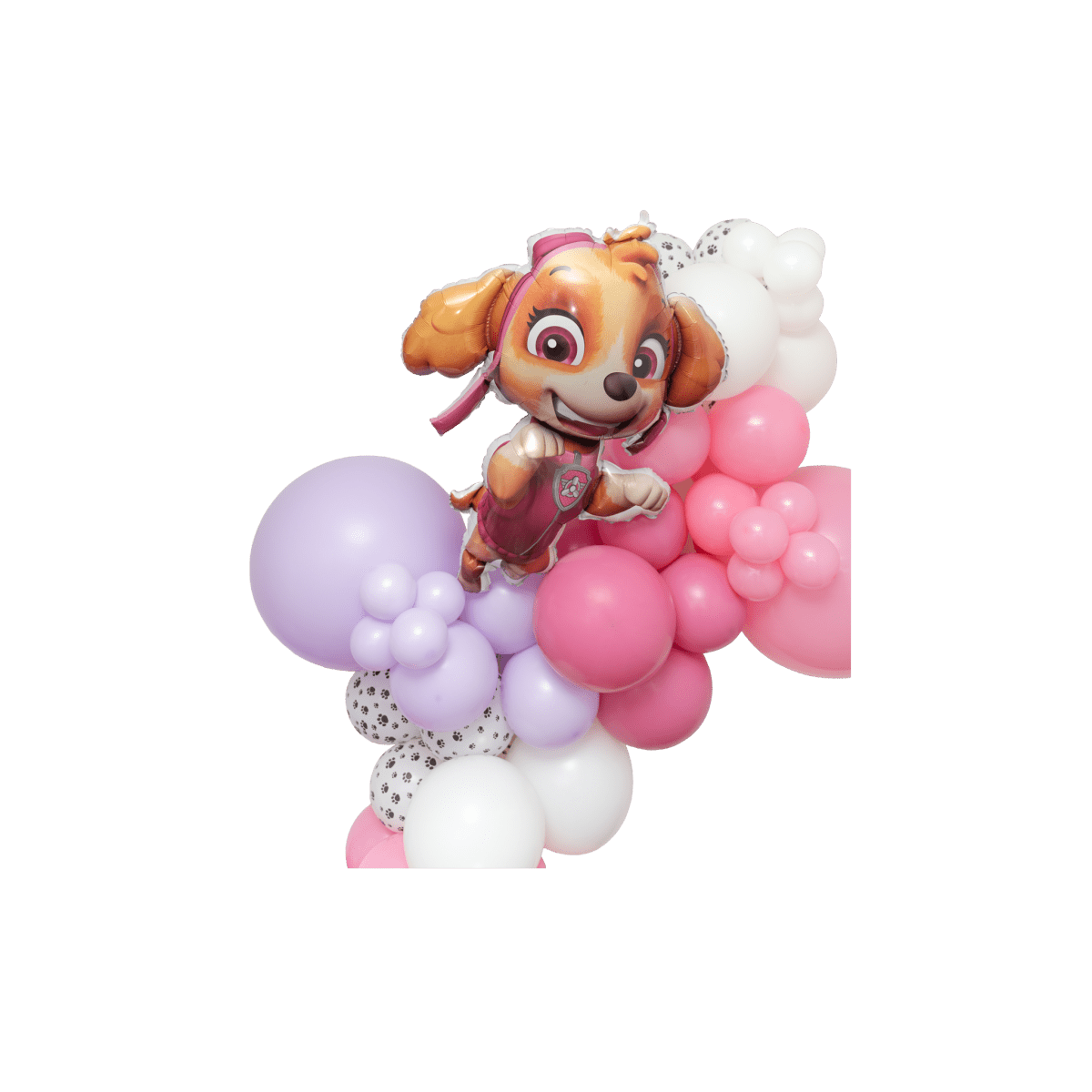 Skye Paw Patrol Balloon Garland Kit