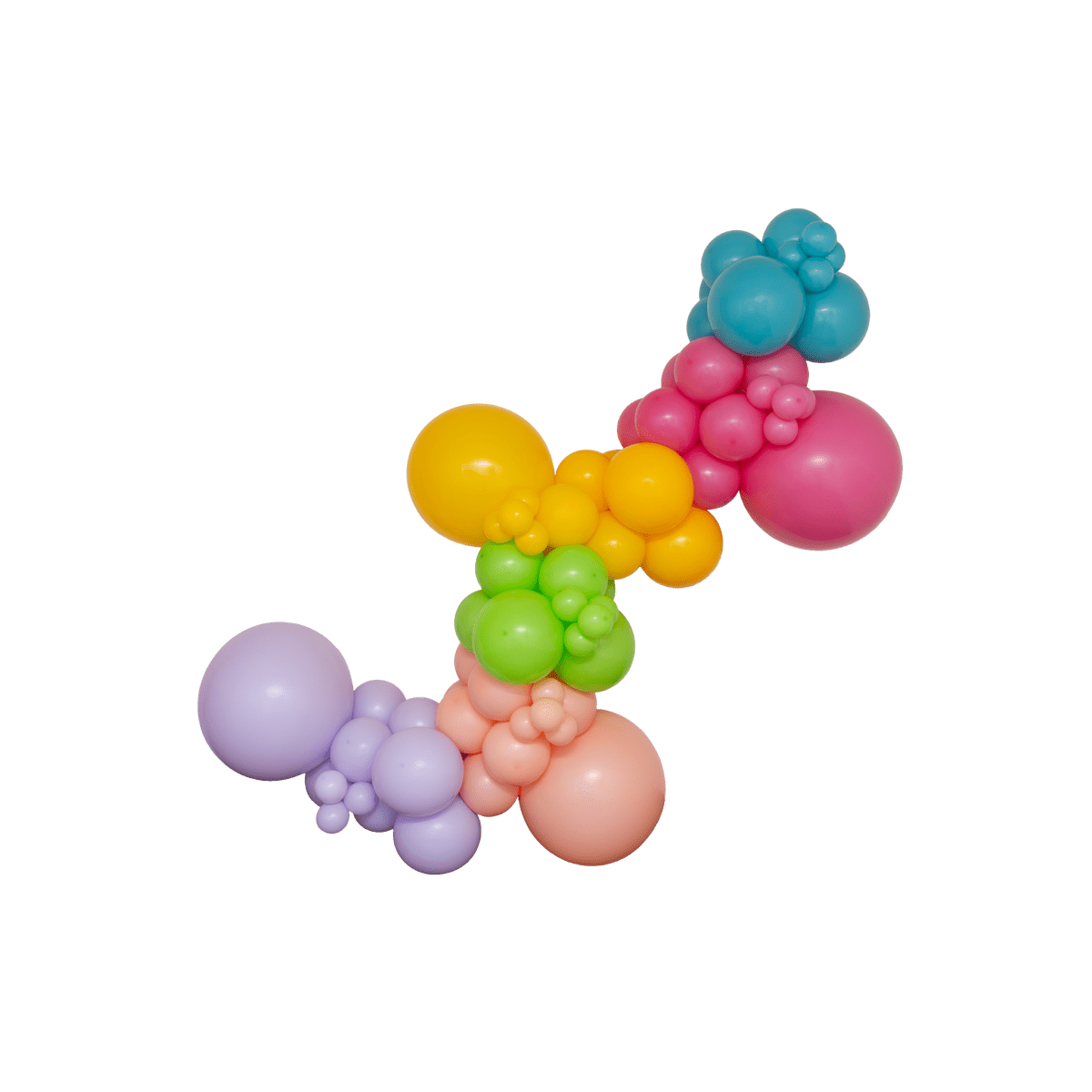 The Party Animal Balloon Garland Kit