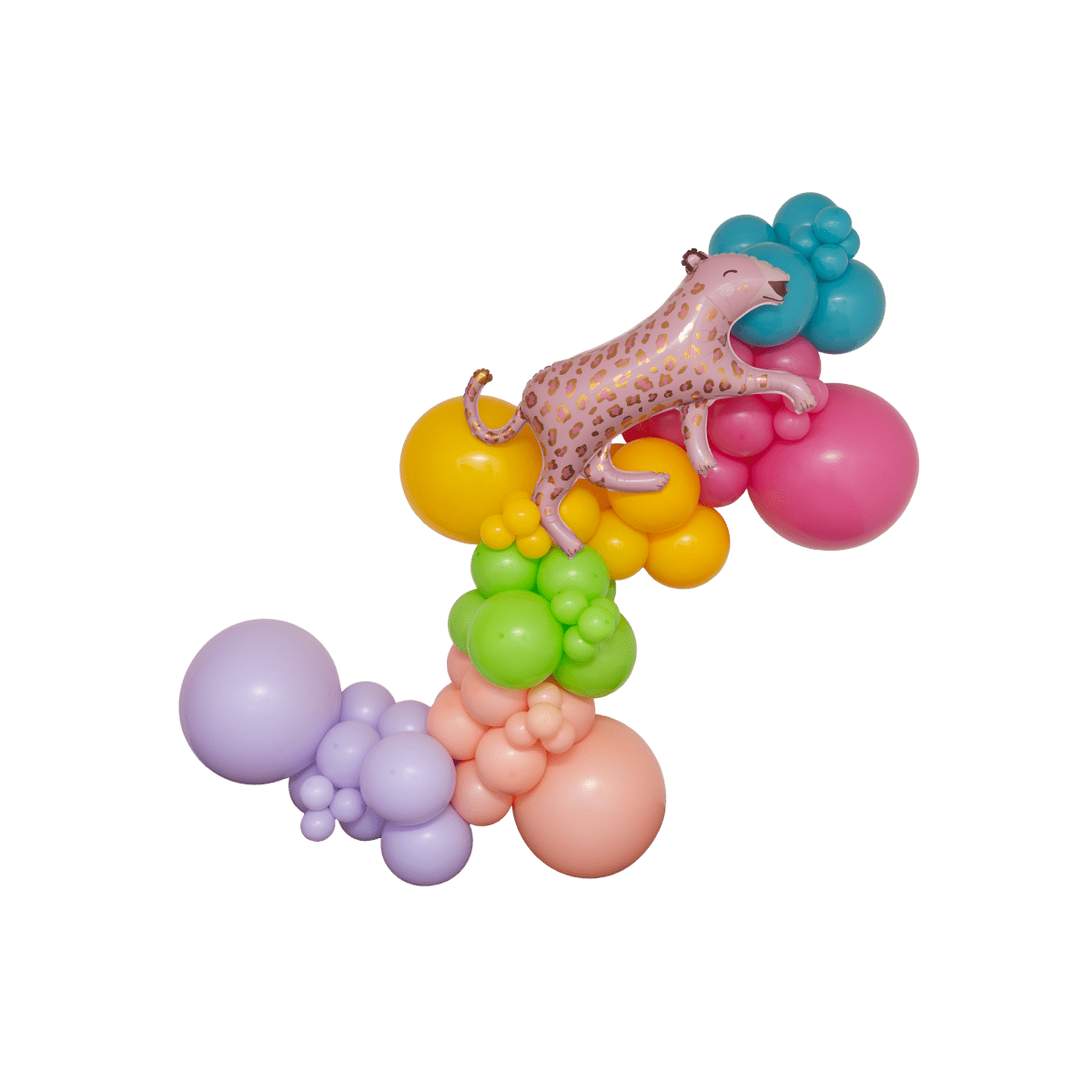 The Party Animal Balloon Garland Kit