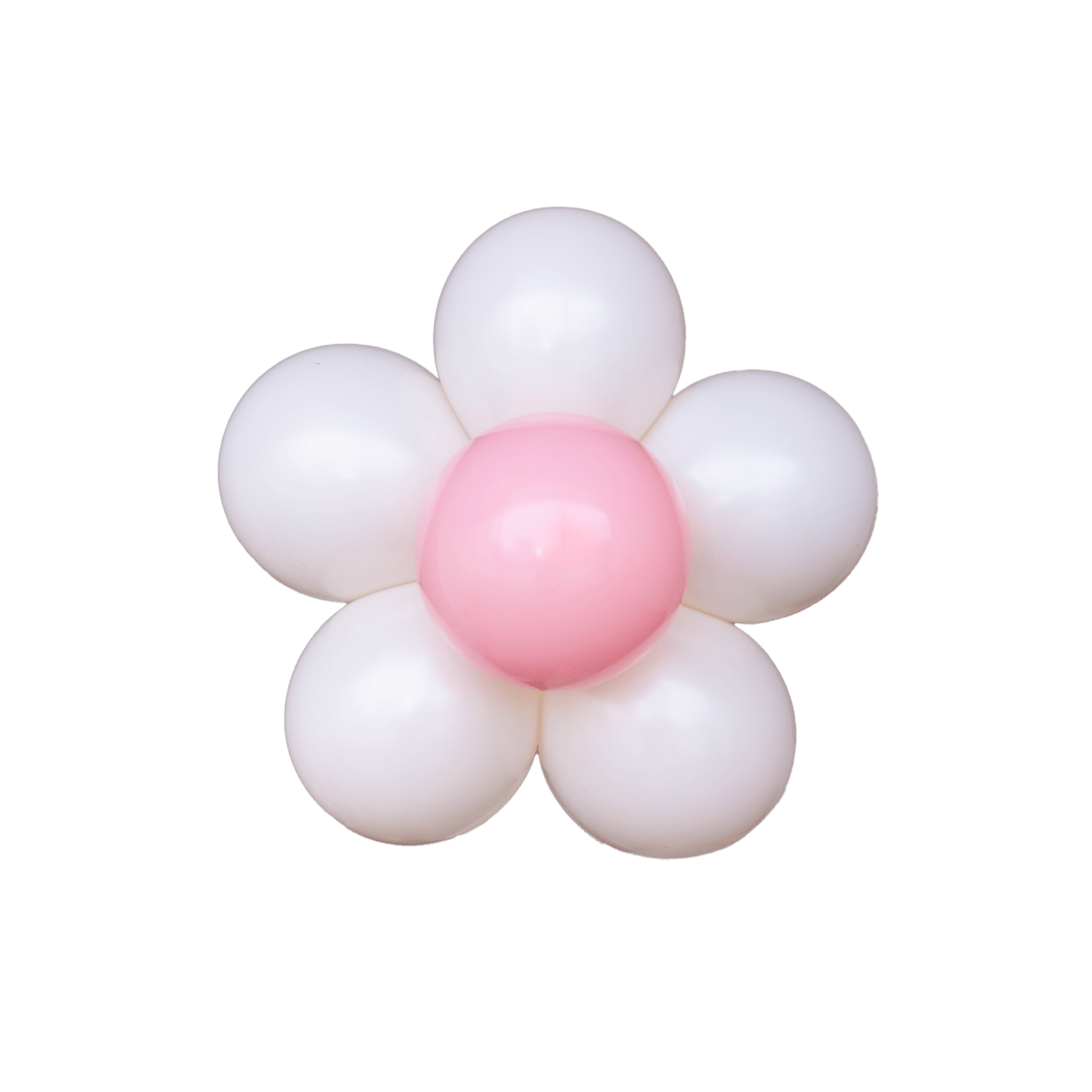 Dusk Daisies (Pack of 5)