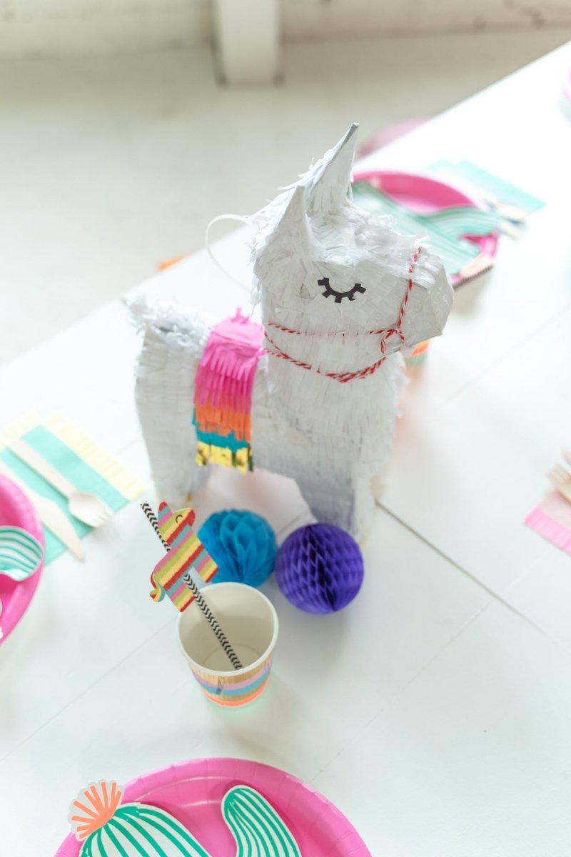 The Fiesta Box | Bashify Event Co.