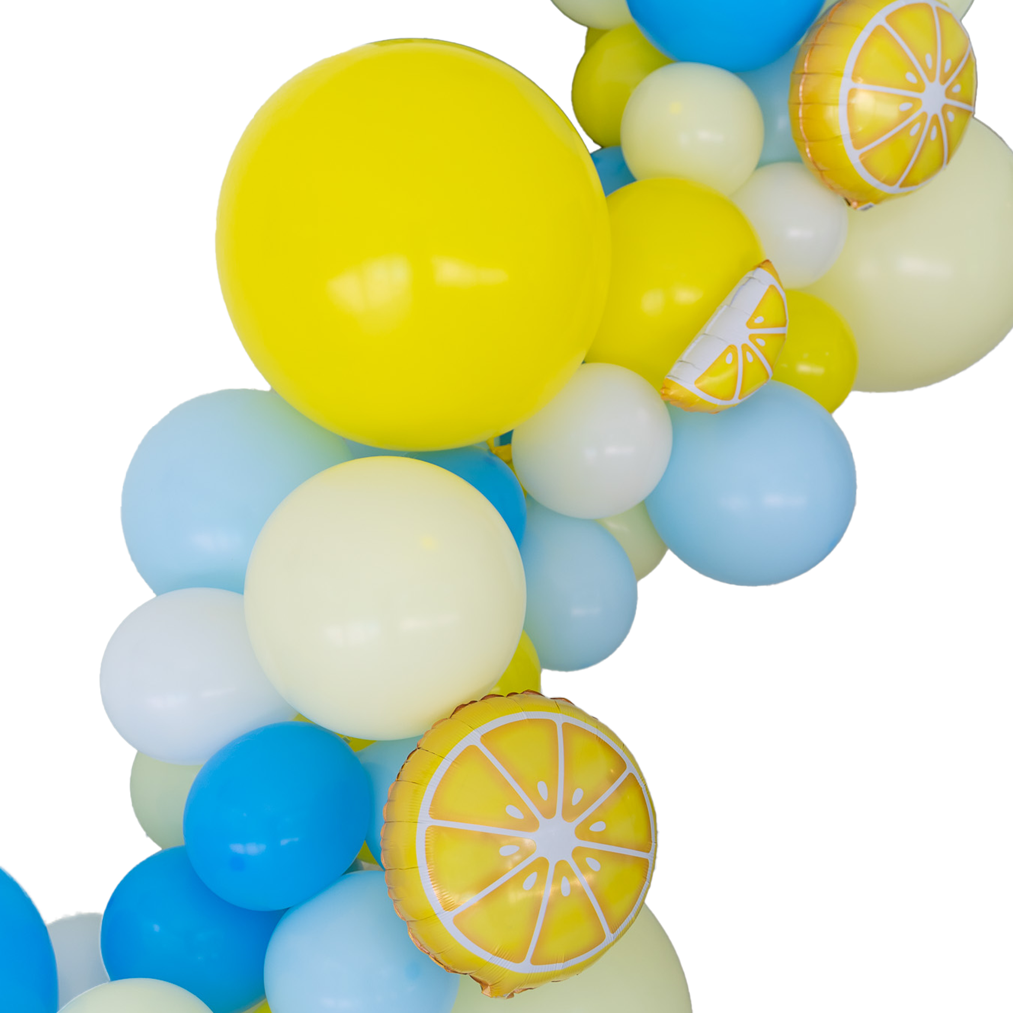 Amalfi Balloon Garland Kit