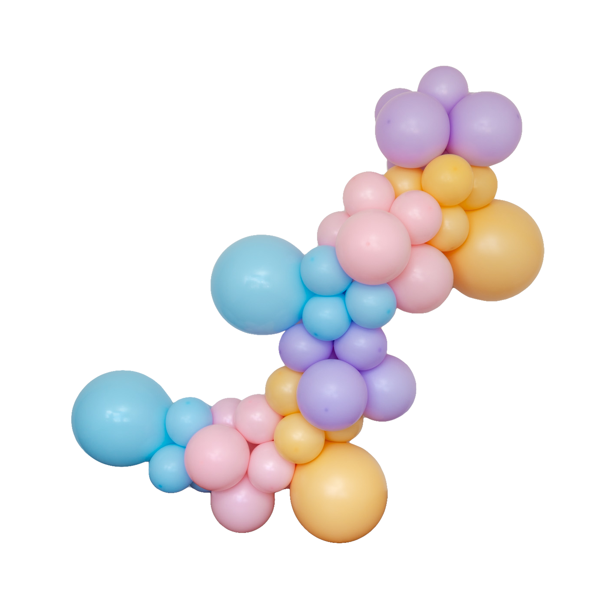 Pastel Bluey Balloon Garland Kit