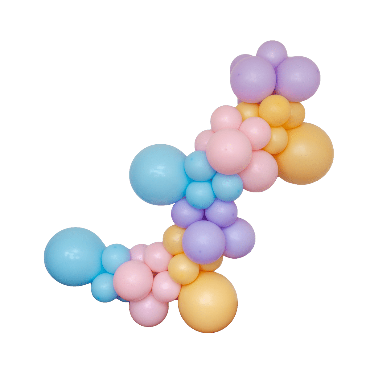 Bluey Balloon Garland Kit