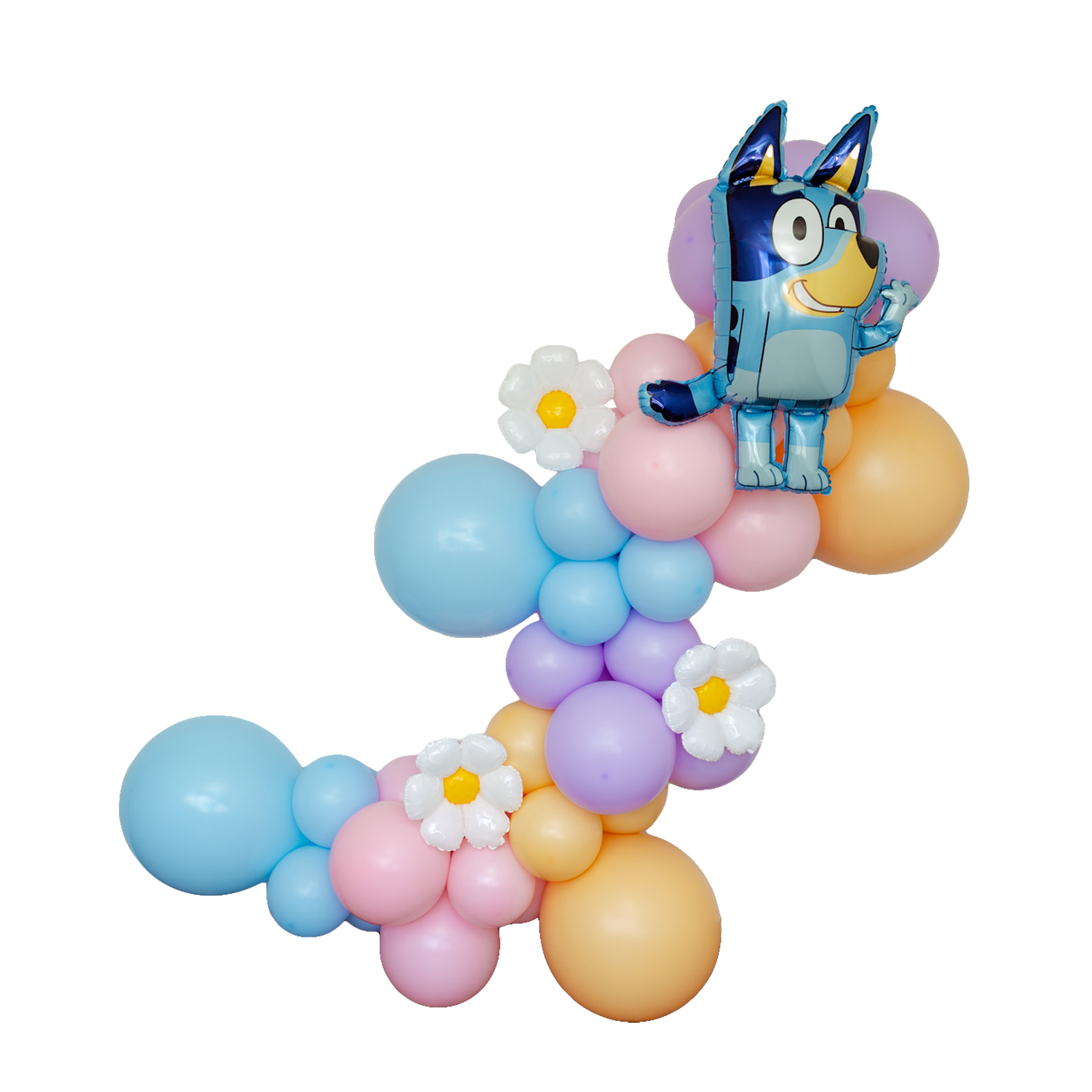 Pastel Bluey Balloon Garland Kit