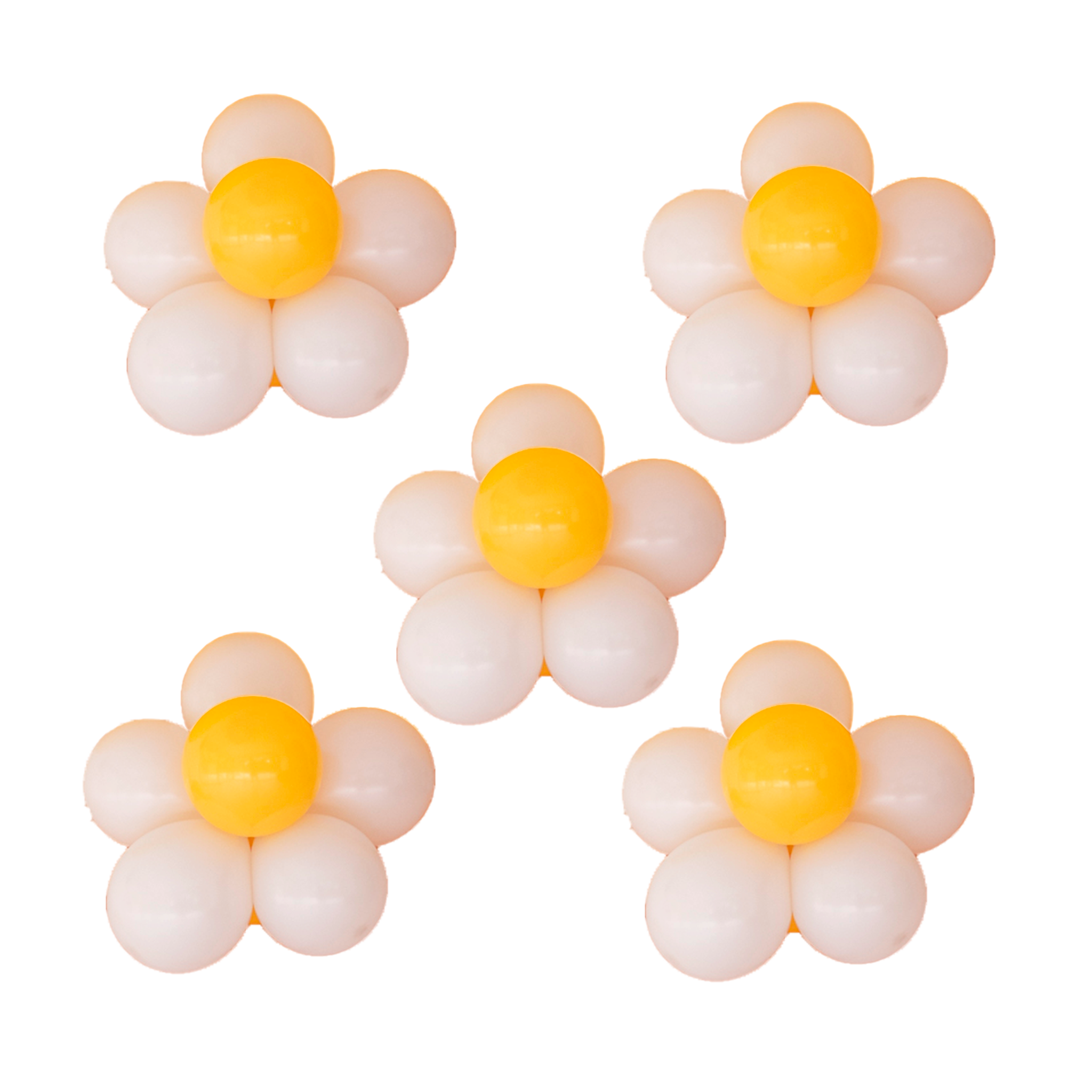 Balloon Daisies (Set of 5)