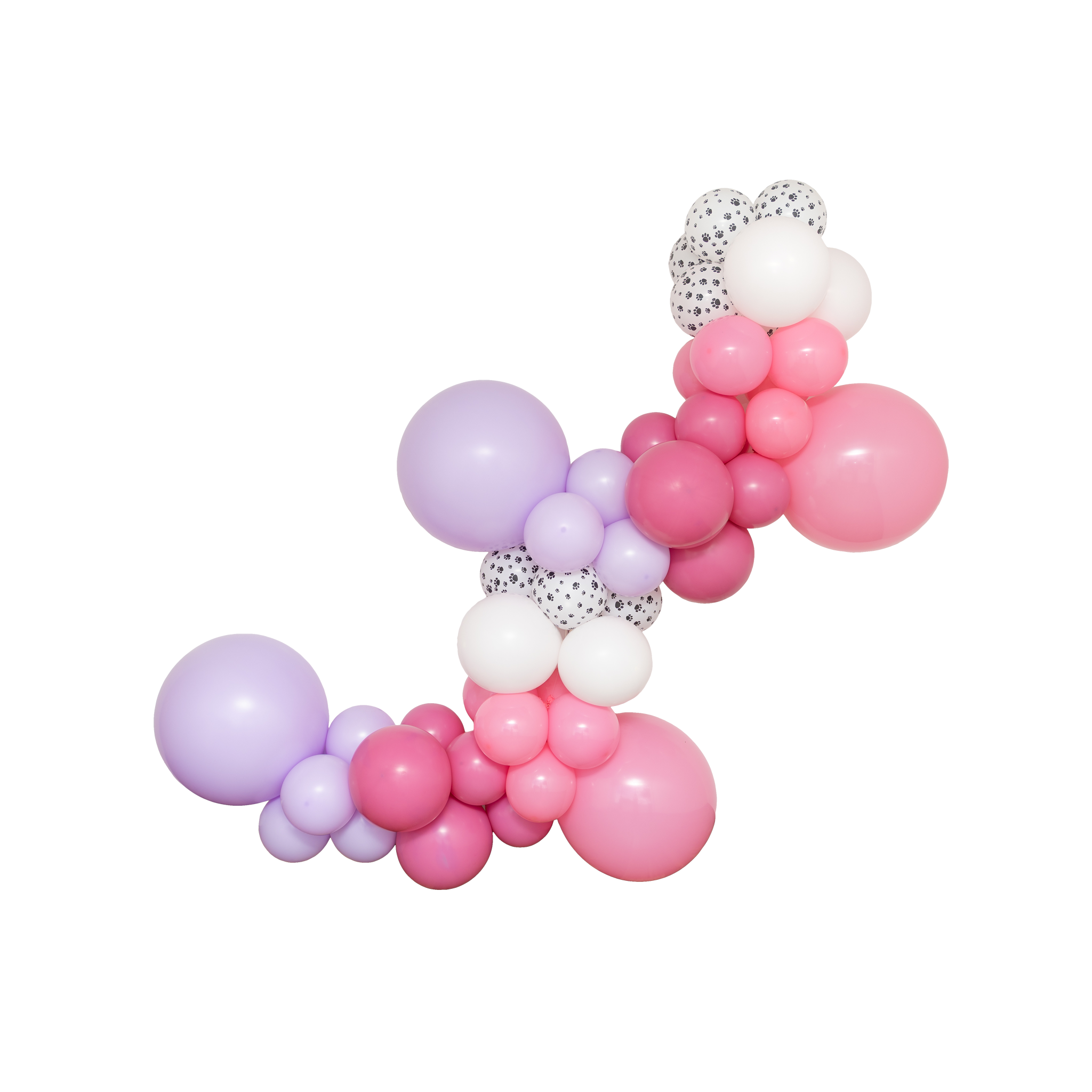Skye Paw Patrol Balloon Garland Kit