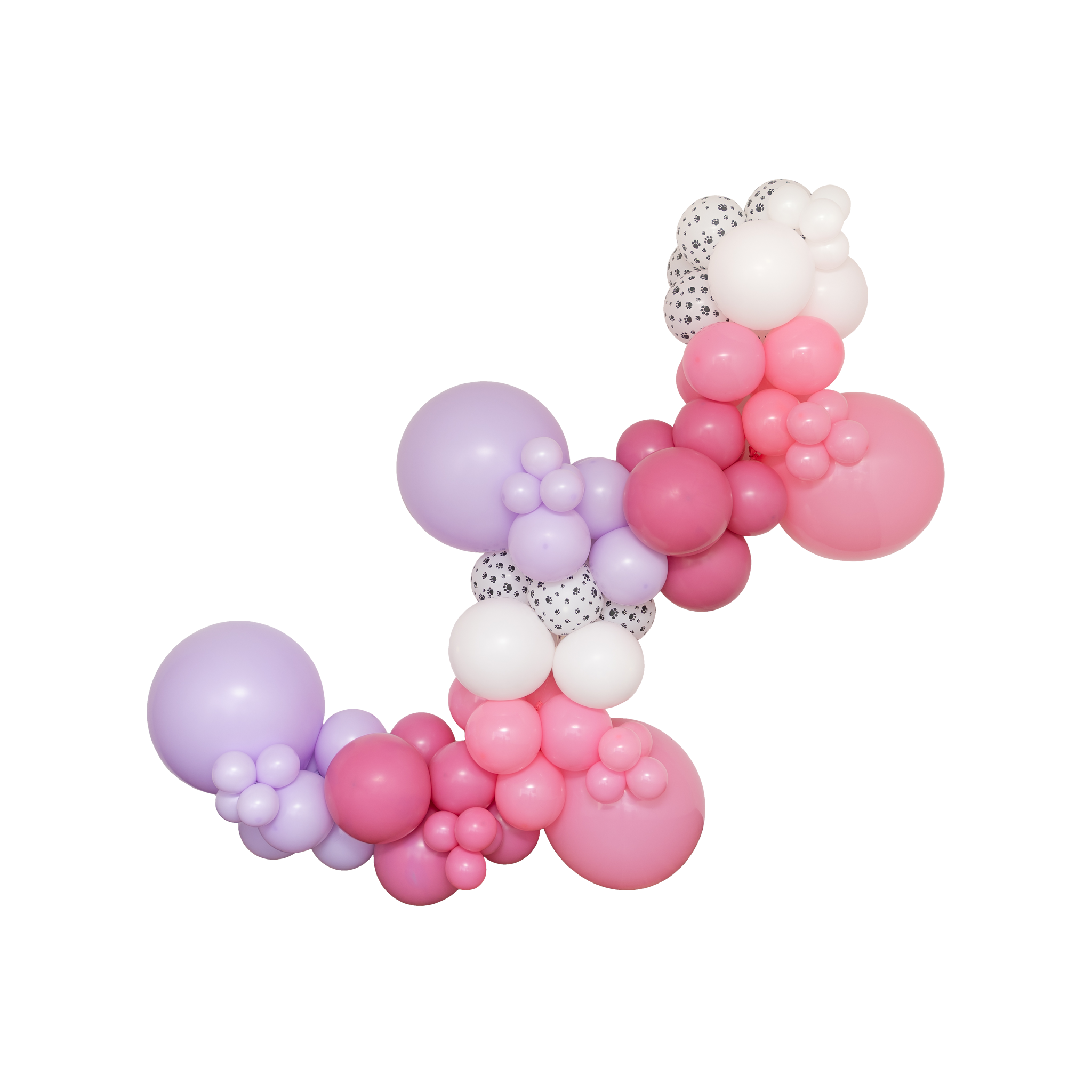 Skye Paw Patrol Balloon Garland Kit