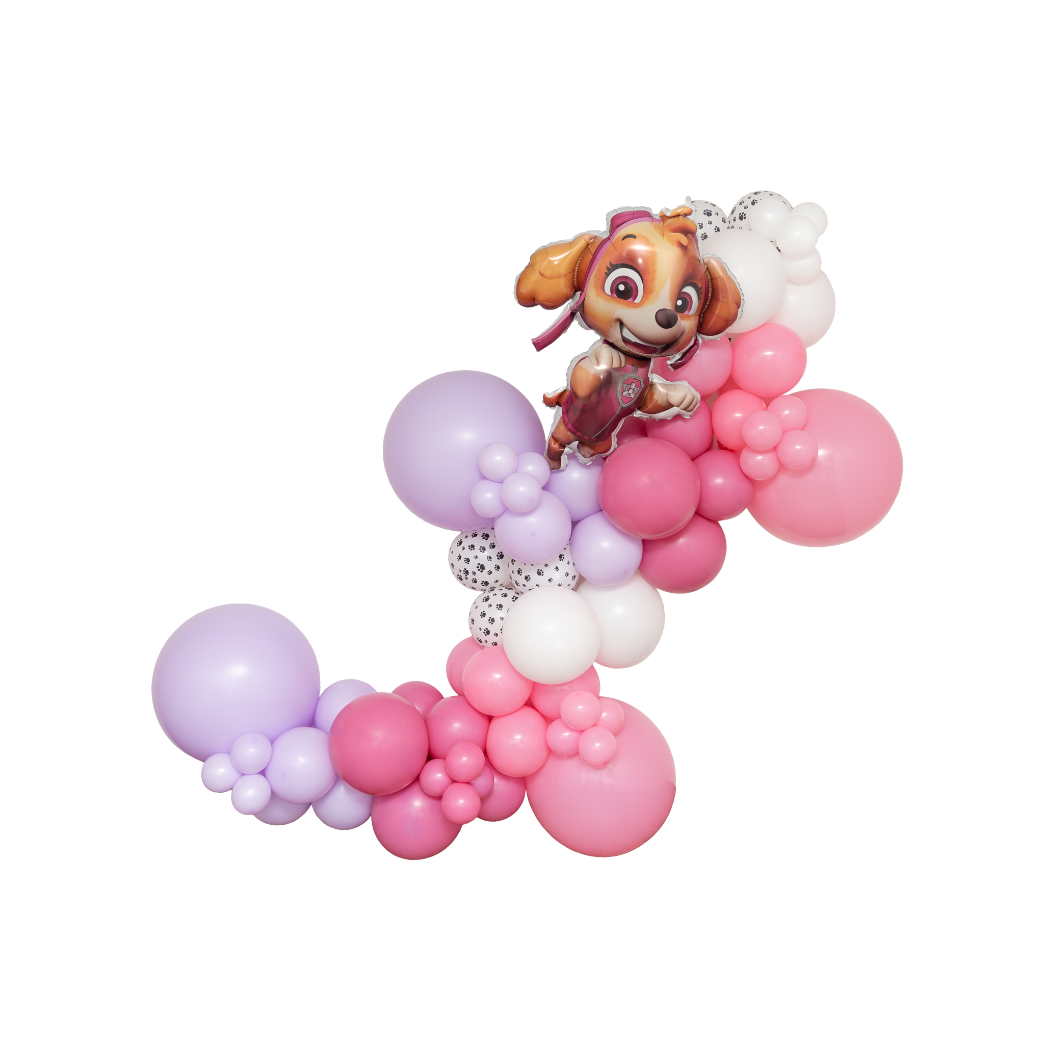 Skye Paw Patrol Balloon Garland Kit