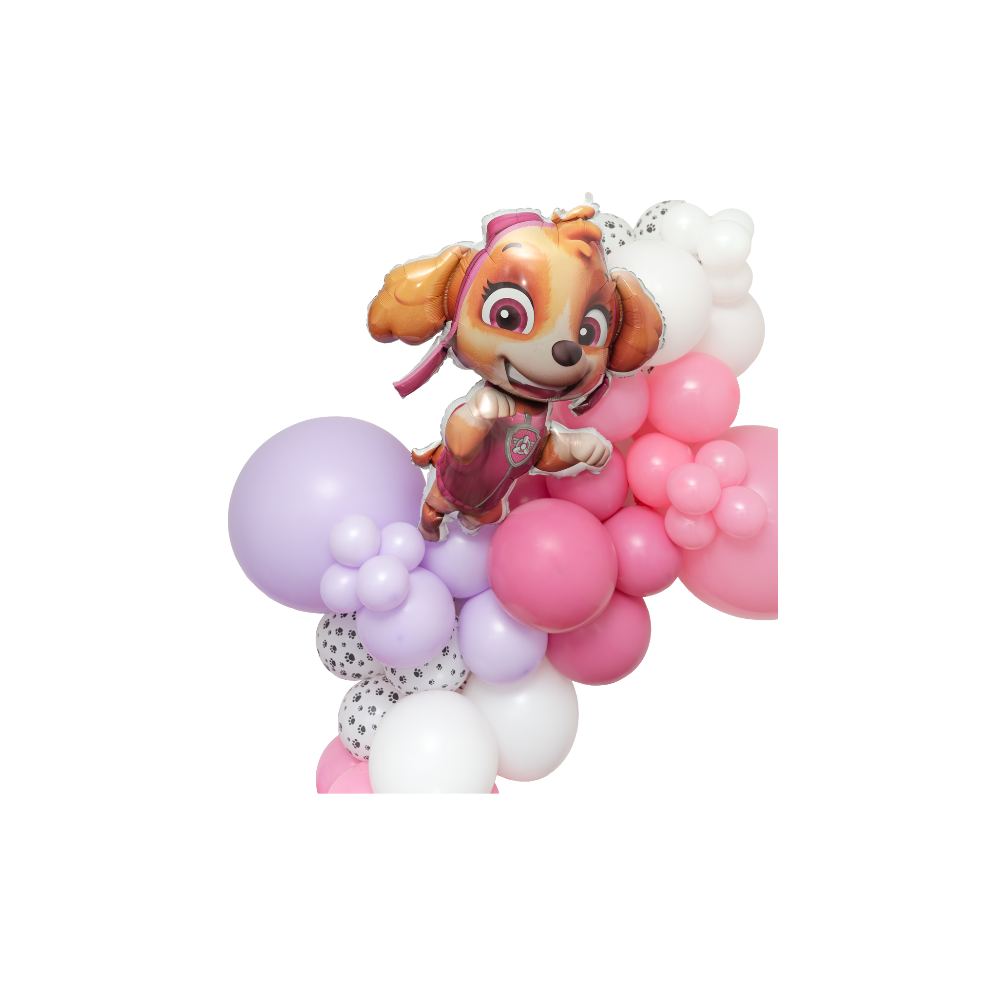 Skye Paw Patrol Balloon Garland Kit