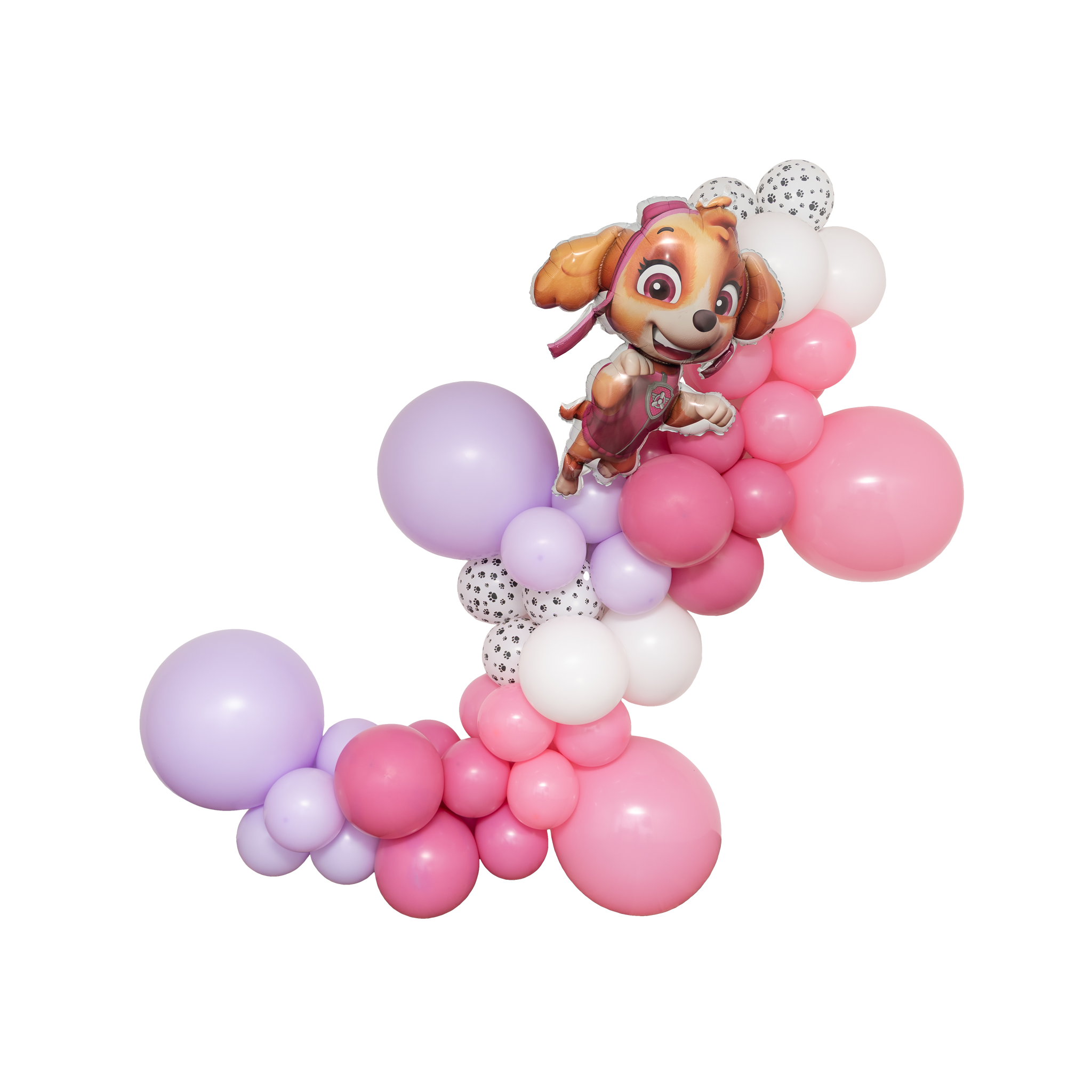 Skye Paw Patrol Balloon Garland Kit