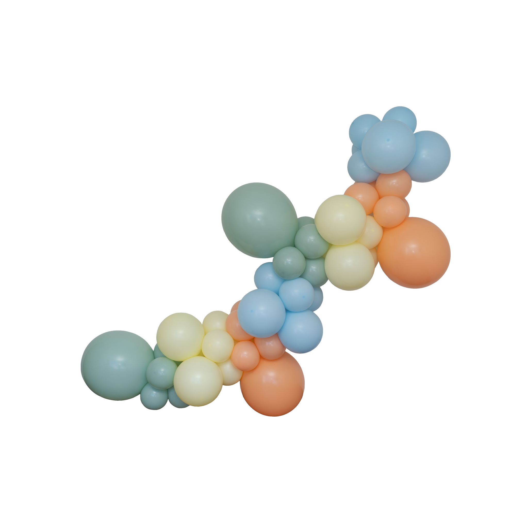 The Party Animal Balloon Garland Kit