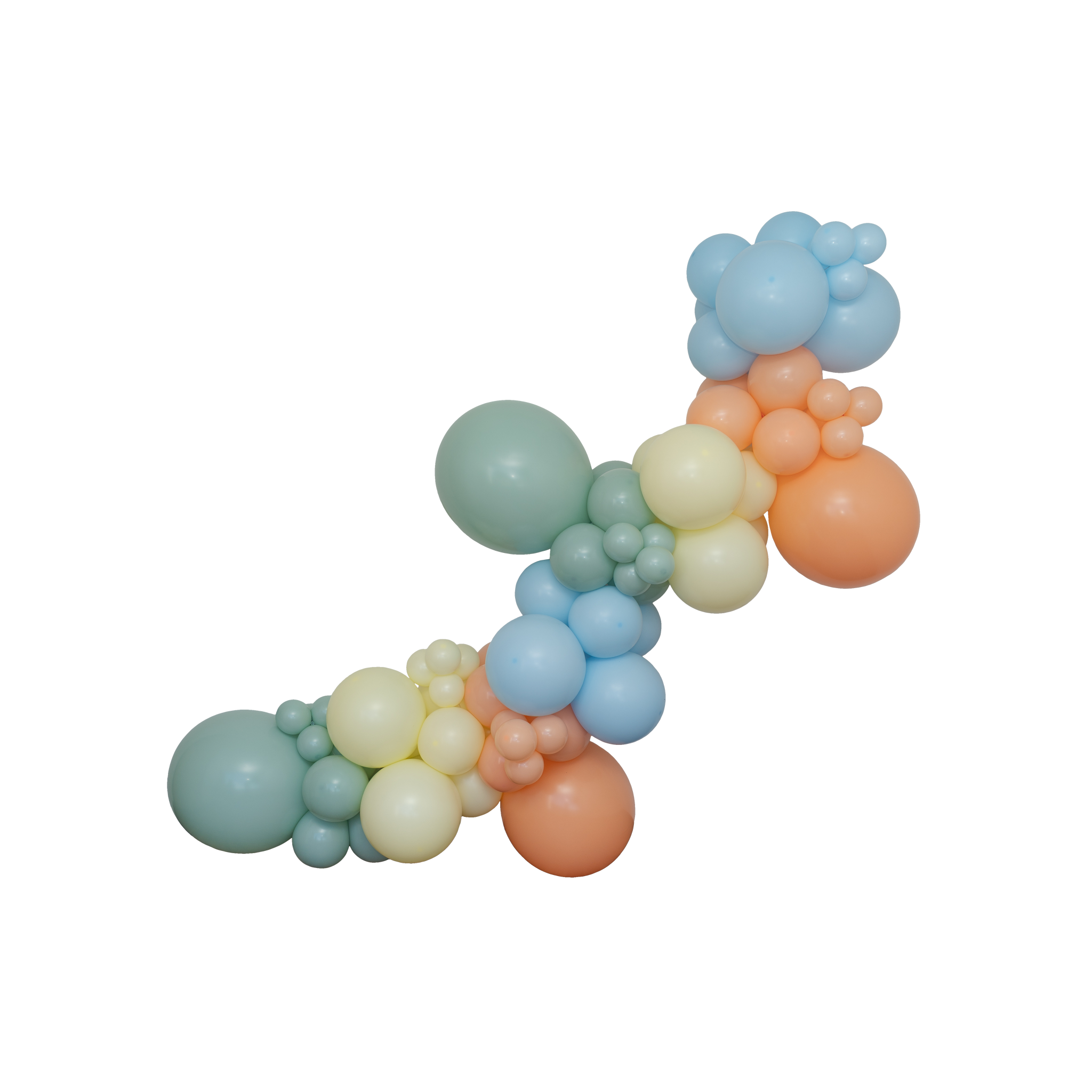 The Party Animal Balloon Garland Kit