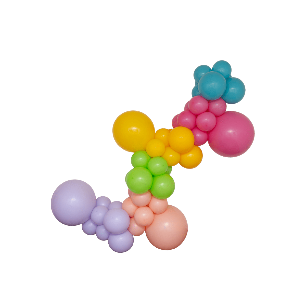 The Party Animal Balloon Garland Kit