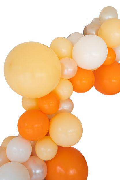 Little Clementine Balloon Garland Kit