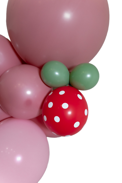 Strawberry Balloons (Pack of 5)